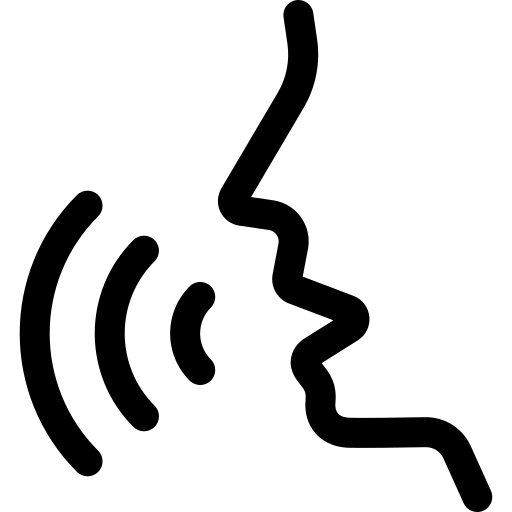 voz (1)