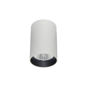 Downlights de superficie SDOWN