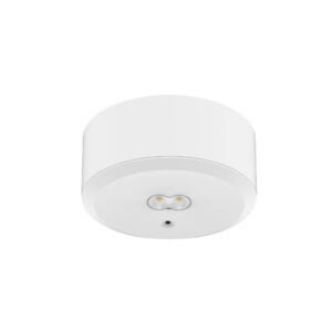 DOWNLIGHT SUPERFICIE EMERGENCIA - E-SDOWNLIGHT